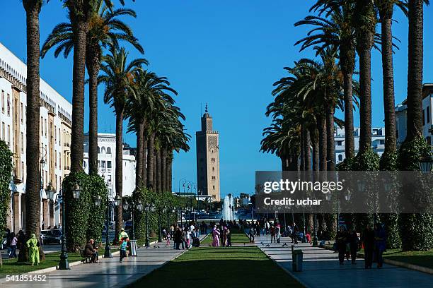 rabat, avenue mohammed v - rabatt stock pictures, royalty-free photos & images