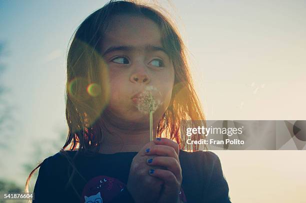 young girl with a wish flower. - portrait lens flare stock pictures, royalty-free photos & images