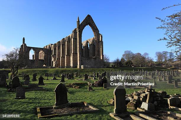the ruins of bolton priory, yorkshire dales - priory park stock pictures, royalty-free photos & images