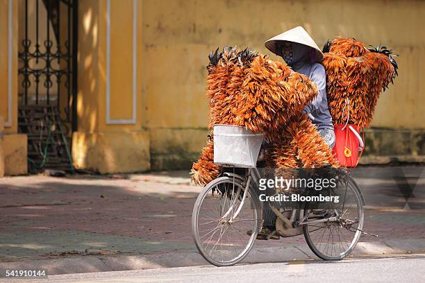 Vendor selling feather brooms rides a bicycle along a street in Hanoi, Vietnam, on Sunday, June 19, 2016. Vietnam is scheduled to release finalized...