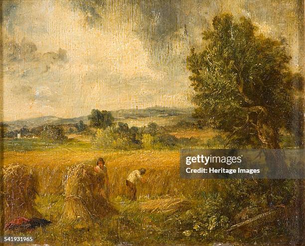 Cornfield', 1796-1837. Artist: John Constable.