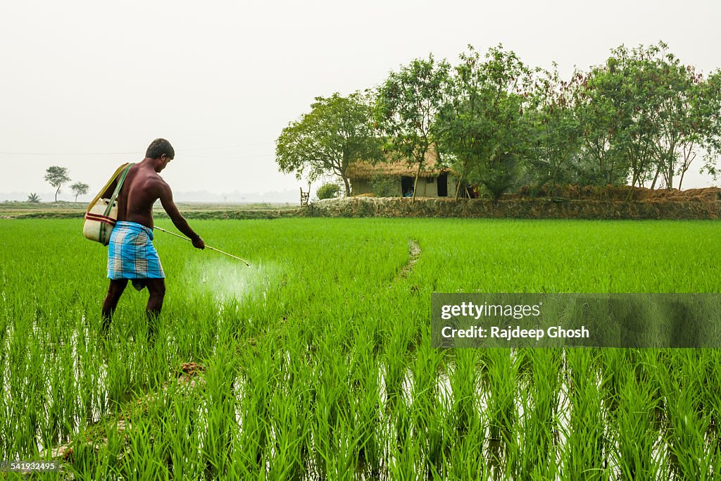 Crop protection pesticide spray