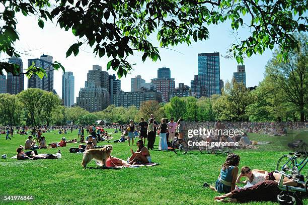 somos neoyorquinos en central park - central park fotografías e imágenes de stock