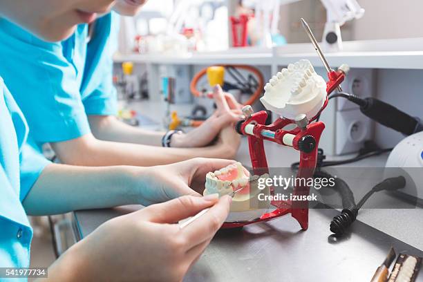 prothetischen labor, fokus auf künstliches gebiss - menschlicher zahn stock-fotos und bilder