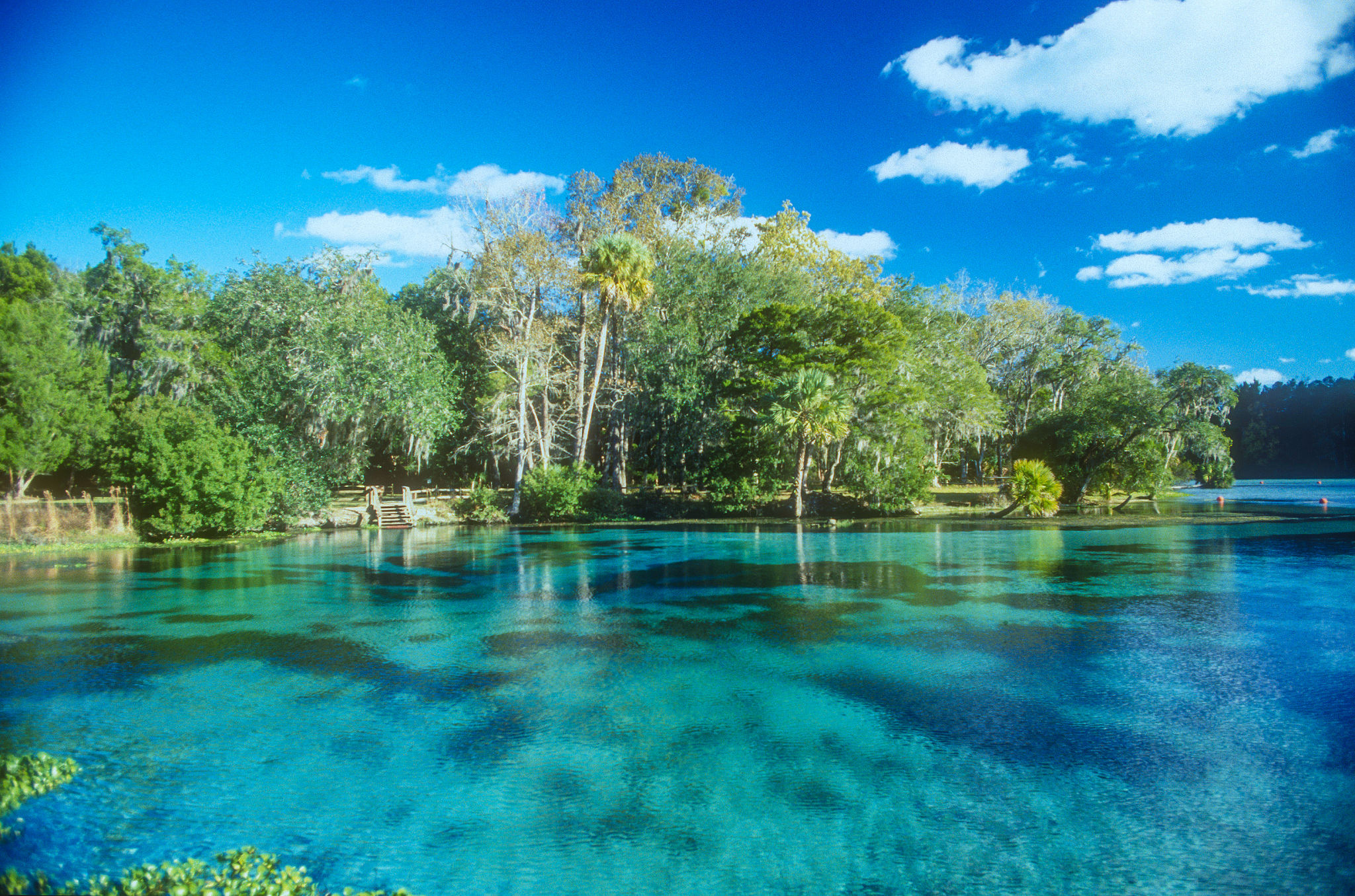 florida spring