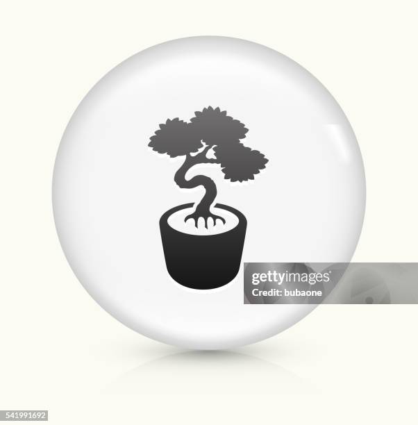 bonsai tree icon on white round vector button - small plant pot stock illustrations