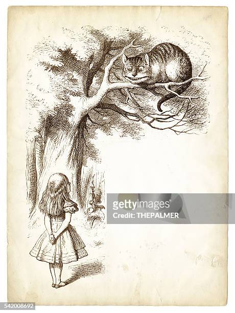alice und der cheshire katze gravur 1898 - cheshire stock-grafiken, -clipart, -cartoons und -symbole
