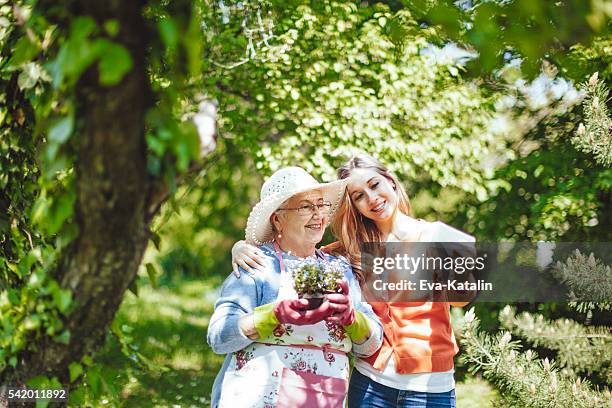 hello spring! - 1970s gardening bildbanksfoton och bilder