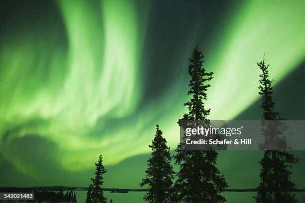best of the month - northwest territories stock pictures, royalty-free photos & images