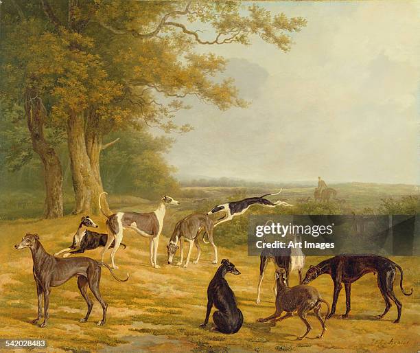 Nine Greyhounds in a Landscape