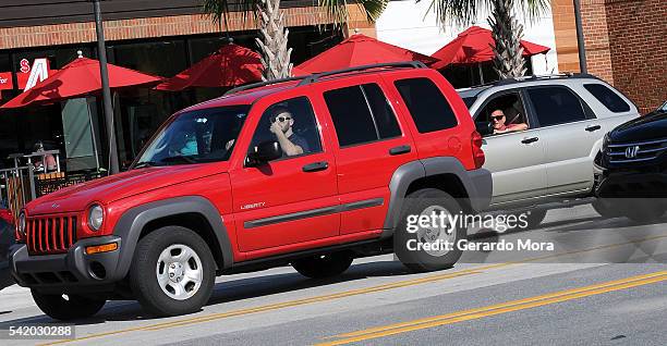 Vehicles cross in front of the Pulse Nightclub on June 21, 2016 in Orlando, Florida. The Orlando community continues to mourn the victims of the...