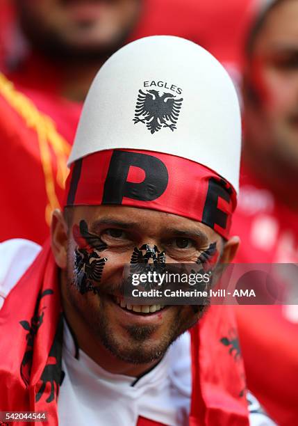 Fan of Albania with a painted face before the UEFA EURO 2016 Group A match between Romania and Albania at Stade des Lumieres on June 19, 2016 in...