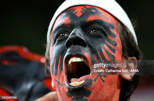 Fan of Albania with a painted face during the UEFA EURO 2016 Group A match between Romania and Albania at Stade des Lumieres on June 19, 2016 in...