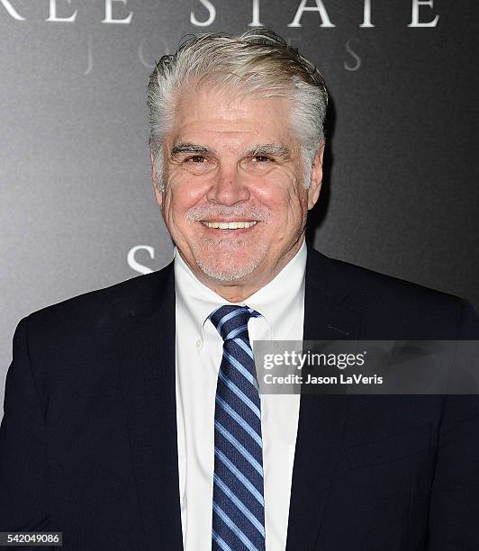 Director Gary Ross attends the premiere of "Free State of Jones" at DGA Theater on June 21, 2016 in Los Angeles, California.