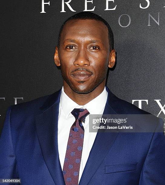 Actor Mahershala Ali attends the premiere of "Free State of Jones" at DGA Theater on June 21, 2016 in Los Angeles, California.