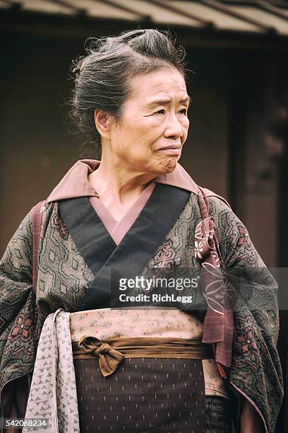 japanese woman in edo period town - edoperiode stockfoto's en -beelden