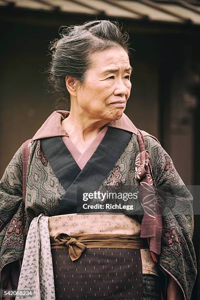 japanese woman in edo period town - edo period stock pictures, royalty-free photos & images