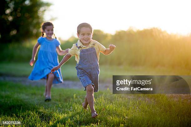 fangen spielen im vorderseite yard - blurred running sunset stock-fotos und bilder