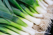 Closeup of some fresh Leeks with the white bulb