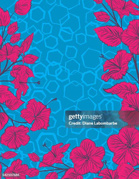 hibiscus flowers frame with hexagonal pattern background - hibiscus flower pattern stock illustrations