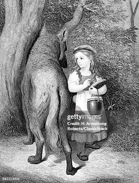 ILLUSTRATION OF LITTLE RED RIDING HOOD & BIG BAD WOLF IN WOODS FAIRY TALE CHILDREN'S STORY LITERATURE DANGER