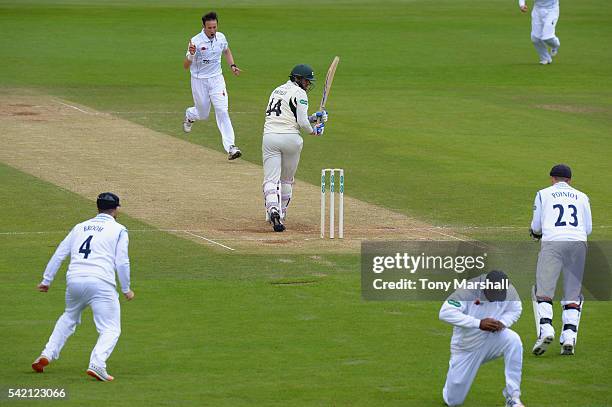 Chesney Hughes of Derbyshire catches out Ross Whiteley of Worcestershire off the bowling of Tony Palladino of Derbyshire during the Specsavers County...