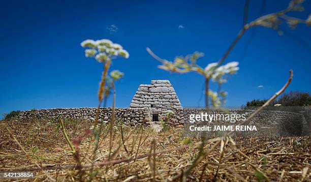 Picture taken on June 22, 2016 shows the Naveta des Tudons, a prehistoric monument near the Ciutadella on the island of Menorca. Human presence in...