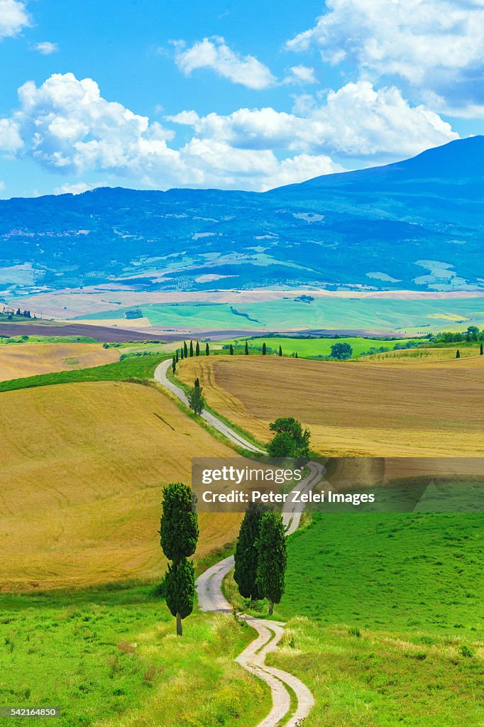 Winding road with cypress trees in Tuscany, Italy