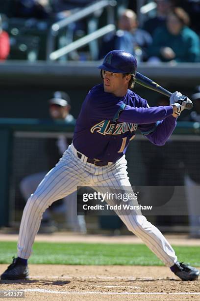 Steve Finley of the Arizona Diamondbacks at bat during the spring training game against the Chicago White Sox at Tucson Electric Park in Tucson,...