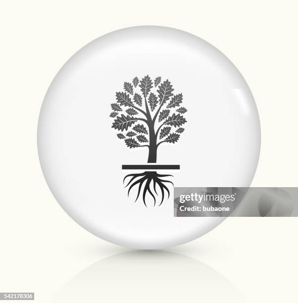 growing tree icon on white round vector button - sapling white background stock illustrations