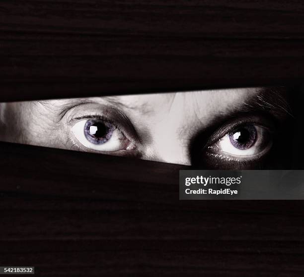 de miedo ojo mirando a través de las persianas en monocromo acercamiento - asesino fotografías e imágenes de stock