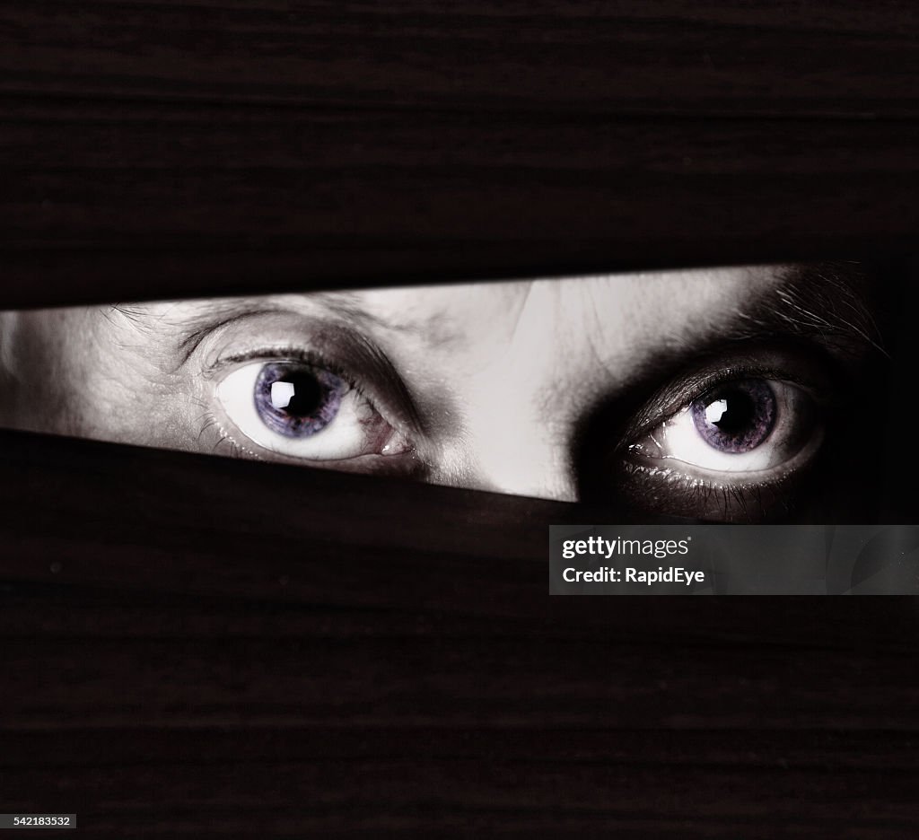 Scary eyes staring through blinds in monochrome close up