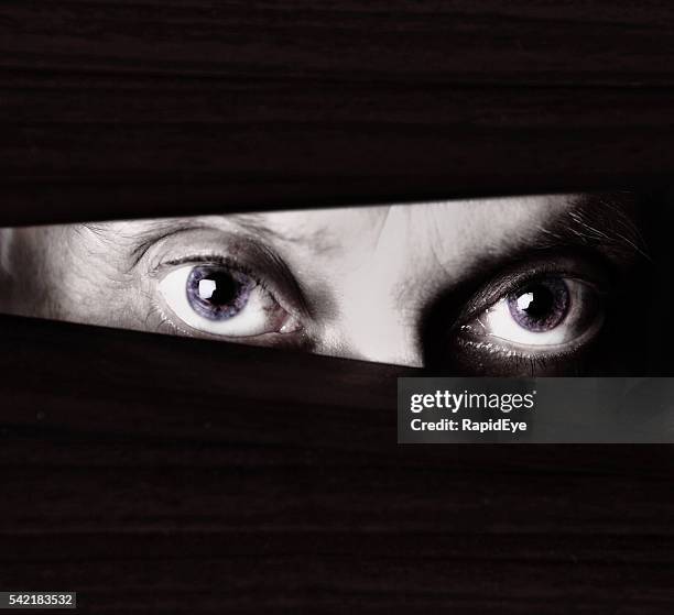 scary eyes staring through blinds in monochrome close up - psychopath stock pictures, royalty-free photos & images