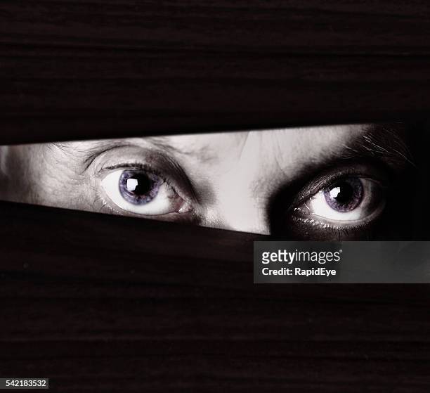 scary eyes staring through blinds in monochrome close up - paranoia 個照片及圖片檔
