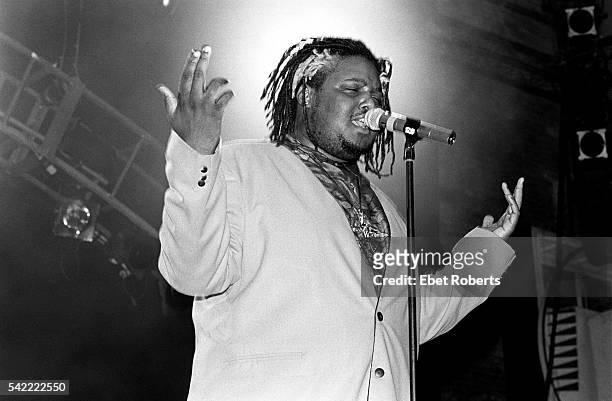 Prince Be of PM Dawn performs at the PETA Rock Against Fur show at the Palladium in New York City on November 26, 1993.