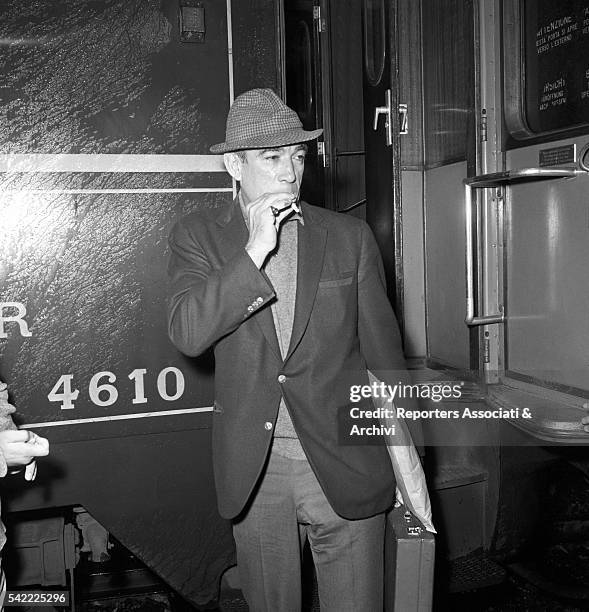 106 Anthony Vitale Stock Photos, High-Res Pictures, and Images - Getty ...