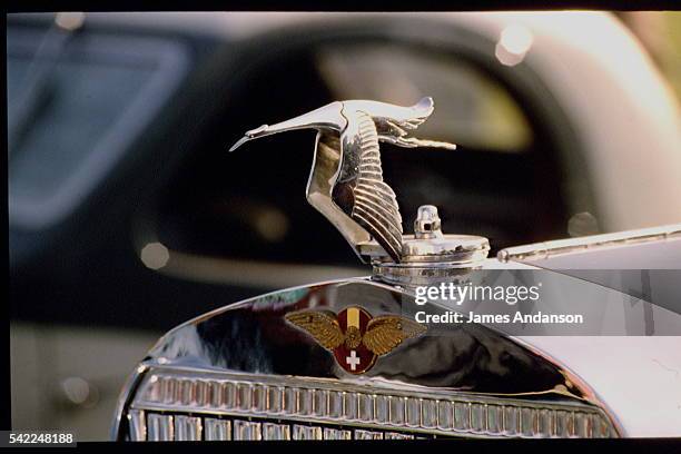 CAR BEAUTY COMPETITION IN BAGATELLE