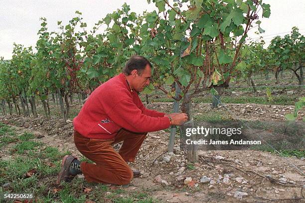 JACQUES RIBOUREL IN HIS VINEYARDS