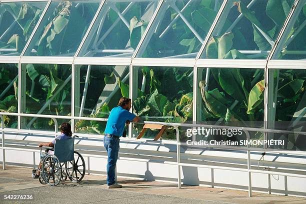 Tourists look into the Space Biosphere.