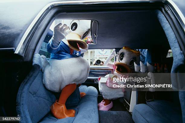 American cartoon character Donald Duck celebrates his 50th birthday with his girlfriend Daisy at the famous Grauman's Chinese Theatre plaza.