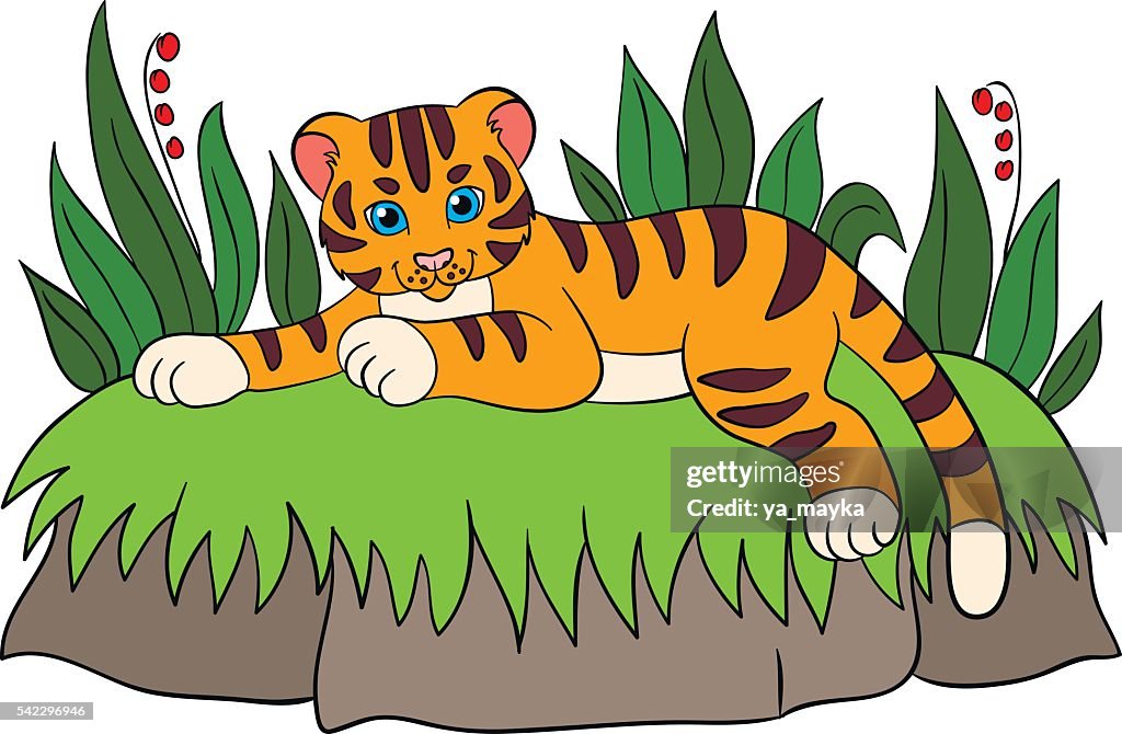 Dibujos Animados Animales Salvajes Para Niños Tigre Lindo Bebé Pequeño Tigre  Ilustración de stock - Getty Images