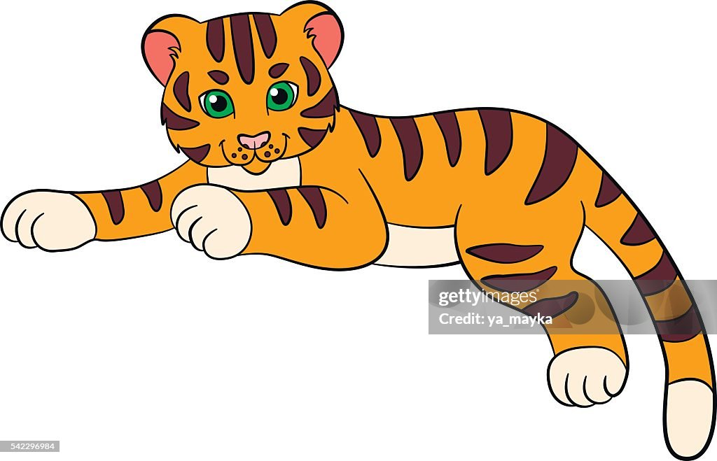 Cartoon Wild Animals For Kids Tiger Little Cute Baby Tiger High-Res Vector  Graphic - Getty Images