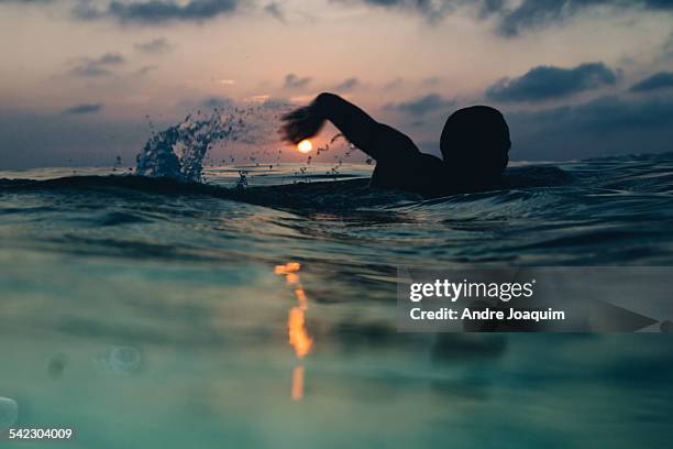 sunrise swimming - open water swimming stock pictures, royalty-free photos & images