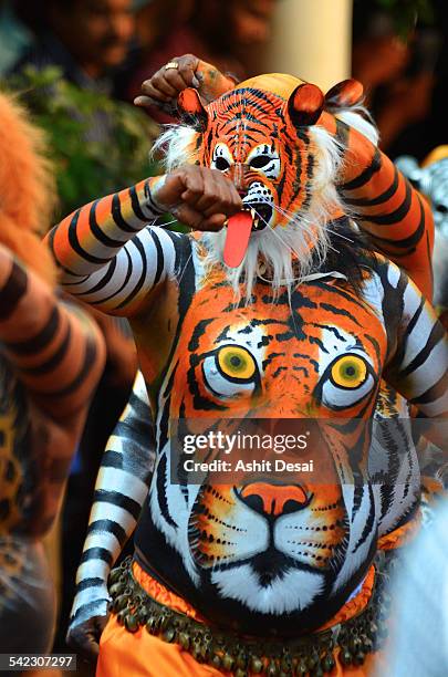 the tiger dance festival, trissur, kerala - onam stock pictures, royalty-free photos & images