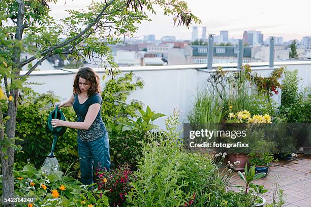 jardinería urbana: mujer vierte plantas en el jardín en el último piso - jardín urbano fotografías e imágenes de stock