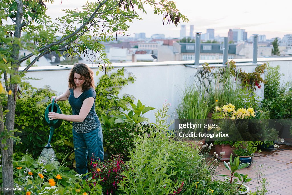 Urban gardening: woman pours plants on roof garden