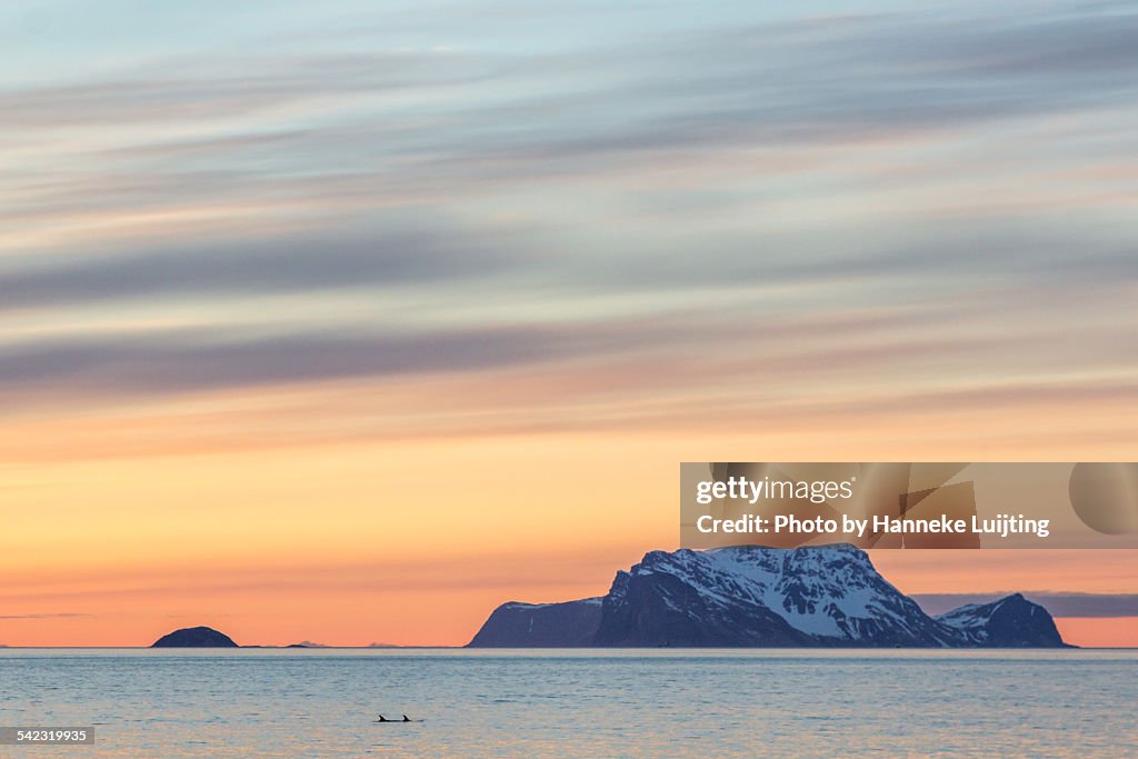 Nord-Fugløya