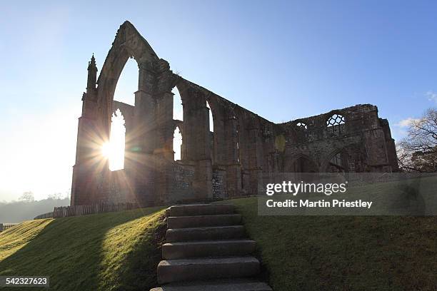 bolton priory, yorkshire dales - priory park stock pictures, royalty-free photos & images