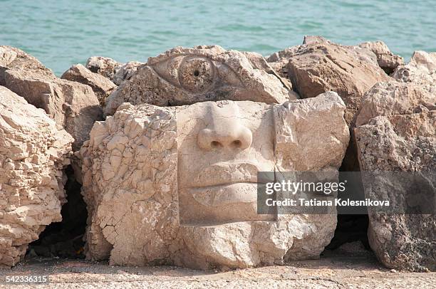 stone face - animal head on wall stock pictures, royalty-free photos & images