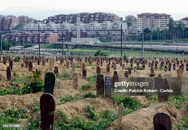 Graves begin to fill a huge field in a Sarajevo cemetery as numbers of people killed in the Yugoslavian Civil War increase. Cemetery overflows on the...